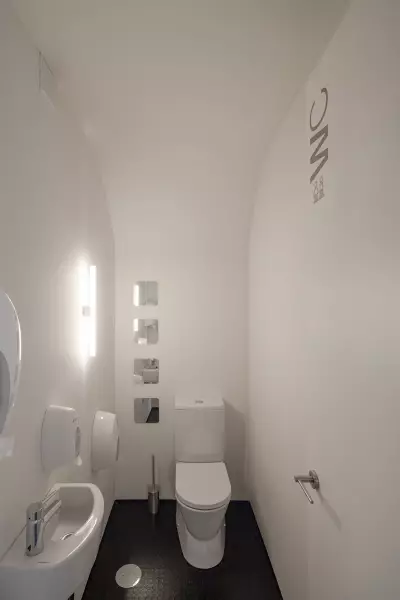 Туалет дизайны (108 фото)