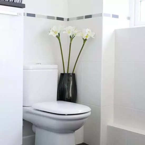 Toalett design (108 bilder)