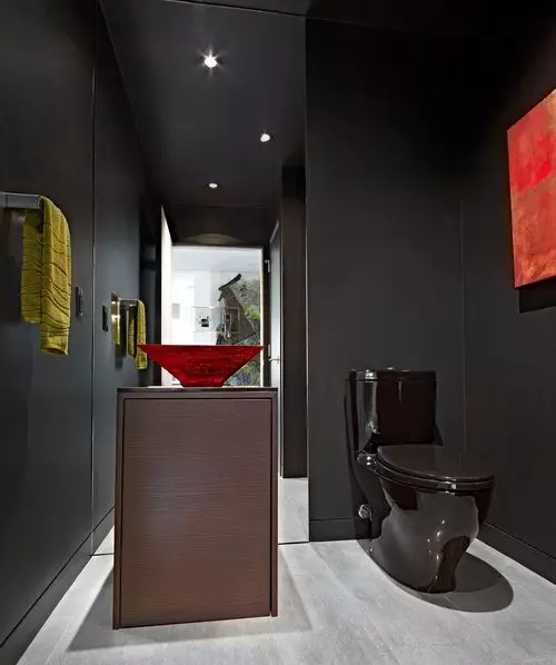 Toilet design (108 mga larawan)