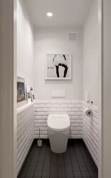 टॉयलेट डिझाइन (108 फोटो)