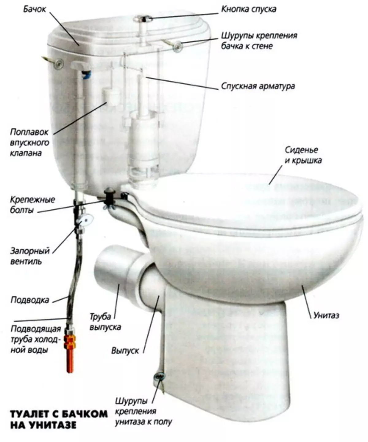 Si për të riparuar mbulesën e tualetit