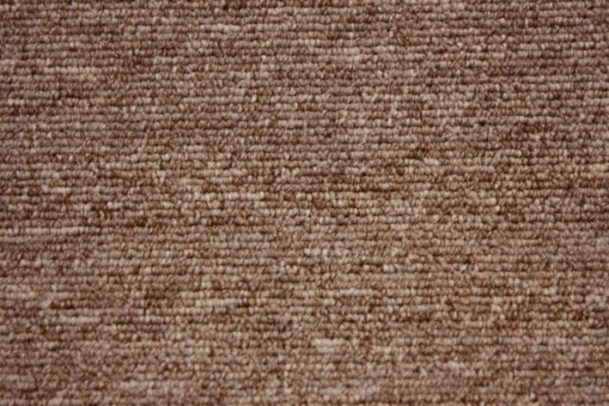 Caracteristici și caracteristici ale covorului buclă
