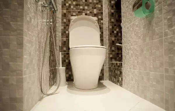 Toilettenkonstruktion mit Fliesen getrimmt