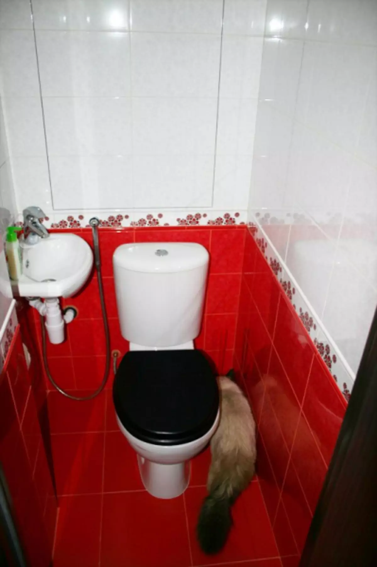 Sửa chữa và thiết kế nhà vệ sinh trong Khrushchev (55 ảnh)