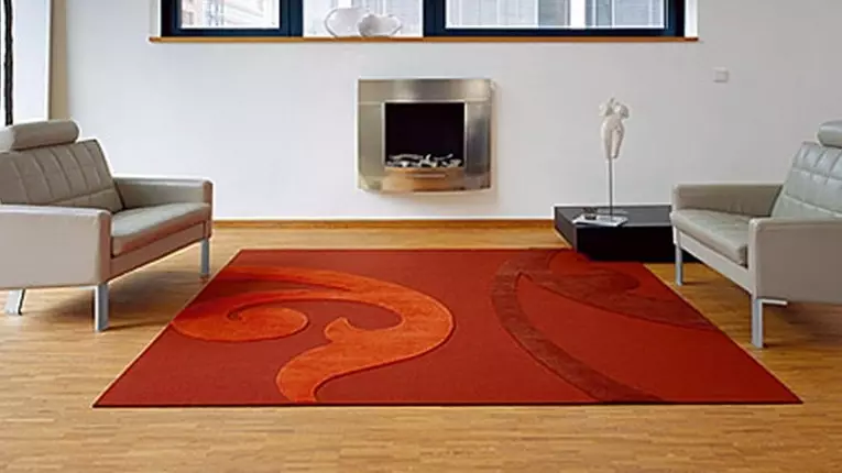 Escolla unha alfombra na sala de estar: cor, forma, tamaño e deseño (30 fotos)