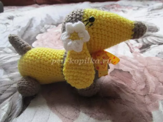বর্ণনা এবং প্রকল্প সহ Dachshund Crochet: ভিডিও সঙ্গে মাস্টার ক্লাস