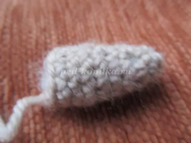 Dachshund Crochet na nkọwa na atụmatụ: Masterlọ Akwụkwọ nwere vidiyo