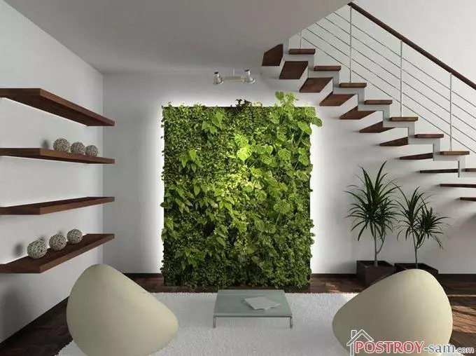 Ecosel trong các tính năng nội thất - phong cách, hình ảnh