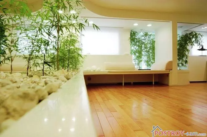 Ecosel sa interior-style features, mga larawan