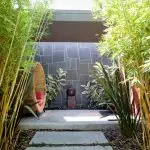 Feng Shui u dvorištu: bambus ili bor?