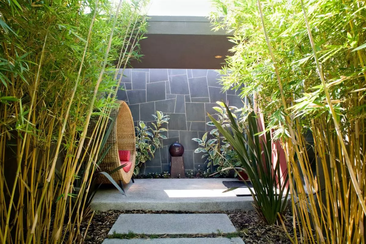 Feng Shui u dvorištu: bambus ili bor?