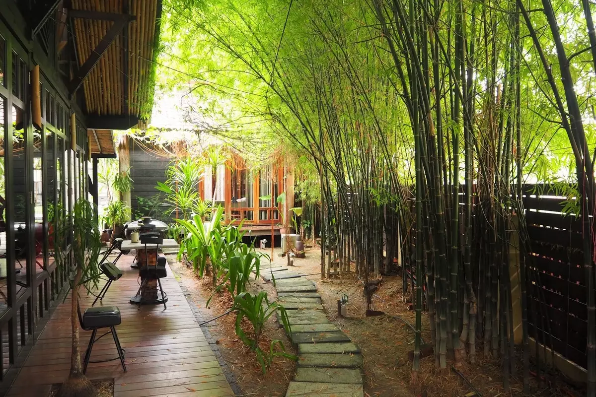 Feng Shui in de binnenplaats: bamboe of dennen?