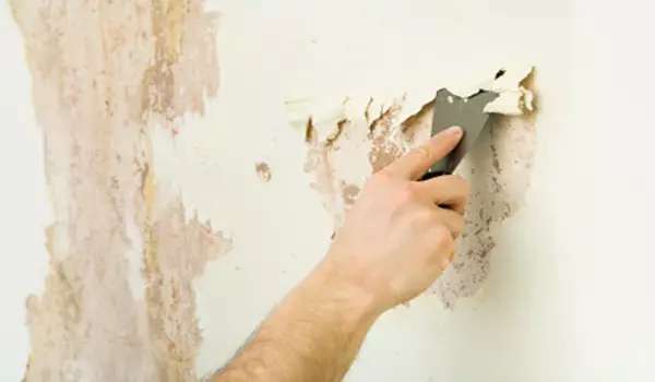 Колко лесно и просто измийте избелването от стените