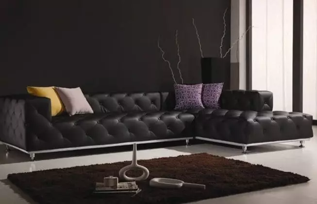 Ang Hari ng Living Room: Black Sofa sa Interior (70 mga larawan)