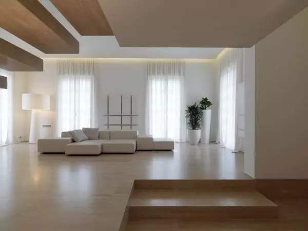 Nội thất của hội trường trong một ngôi nhà riêng: Ý tưởng cho phòng khách Những người sống trong một ngôi nhà (36 ảnh)