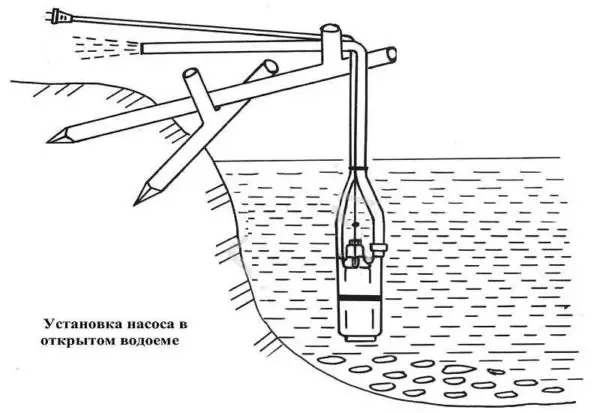 Vibrant Bomba submergible 