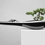 Bonsai in the modern interior [History and features]