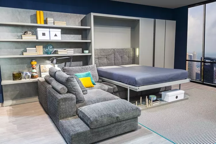 Spálňa Obývacia izba Design: Ako kombinovať pokojový roh a miesto na spanie (40 fotografií)