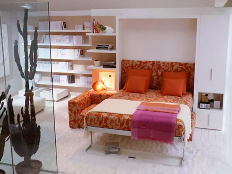 Camera de zi dormitor Design: Cum se combină un colț de odihnă și un loc de dormit (40 de fotografii)