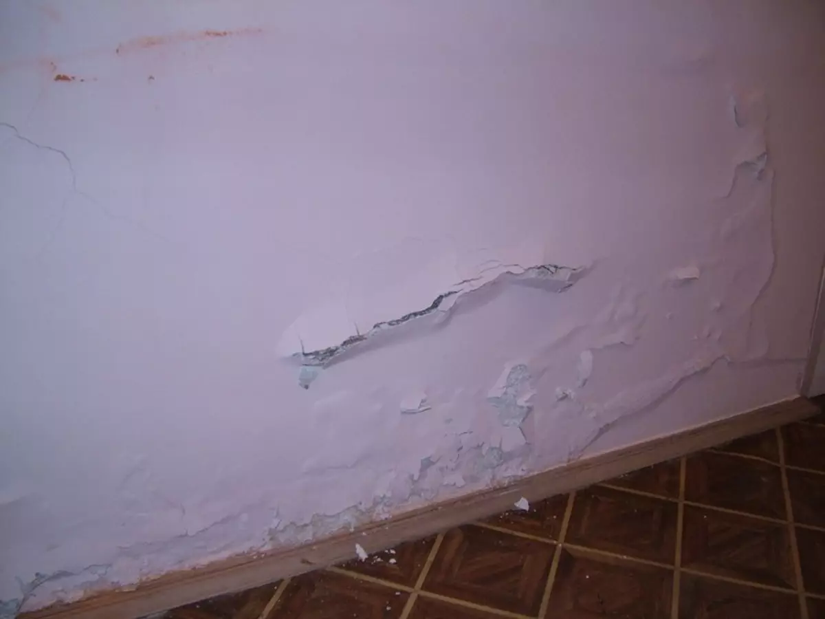 Влажная трещина. Грибок на штукатурке. Оштукатуривание стен дефекты. Грибок на стене под краской. Вздулась штукатурка на стене.