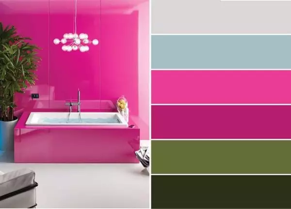 Med hvilke og hvordan man kombinerer farven på fuchsia når indretning