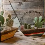 Yadda za a yi amfani da Cacti da Sicculents a cikin ƙirar ciki 2019?