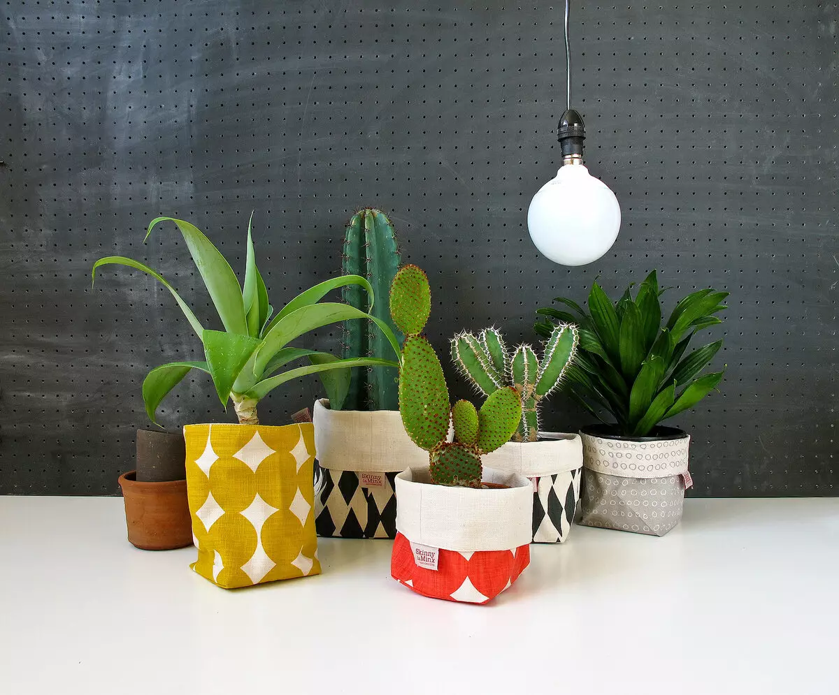 Com utilitzar cactus i suculents en disseny d'interiors 2019?