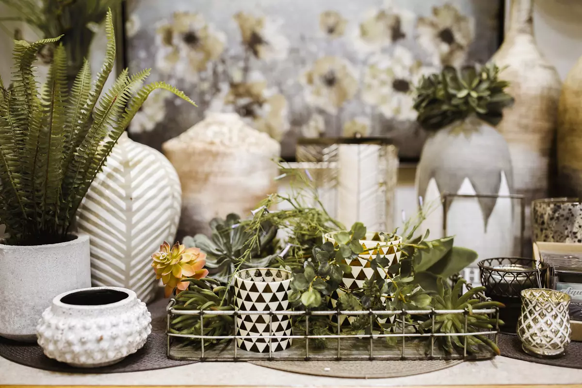 How to use cacti and succulents in interior design 2019?