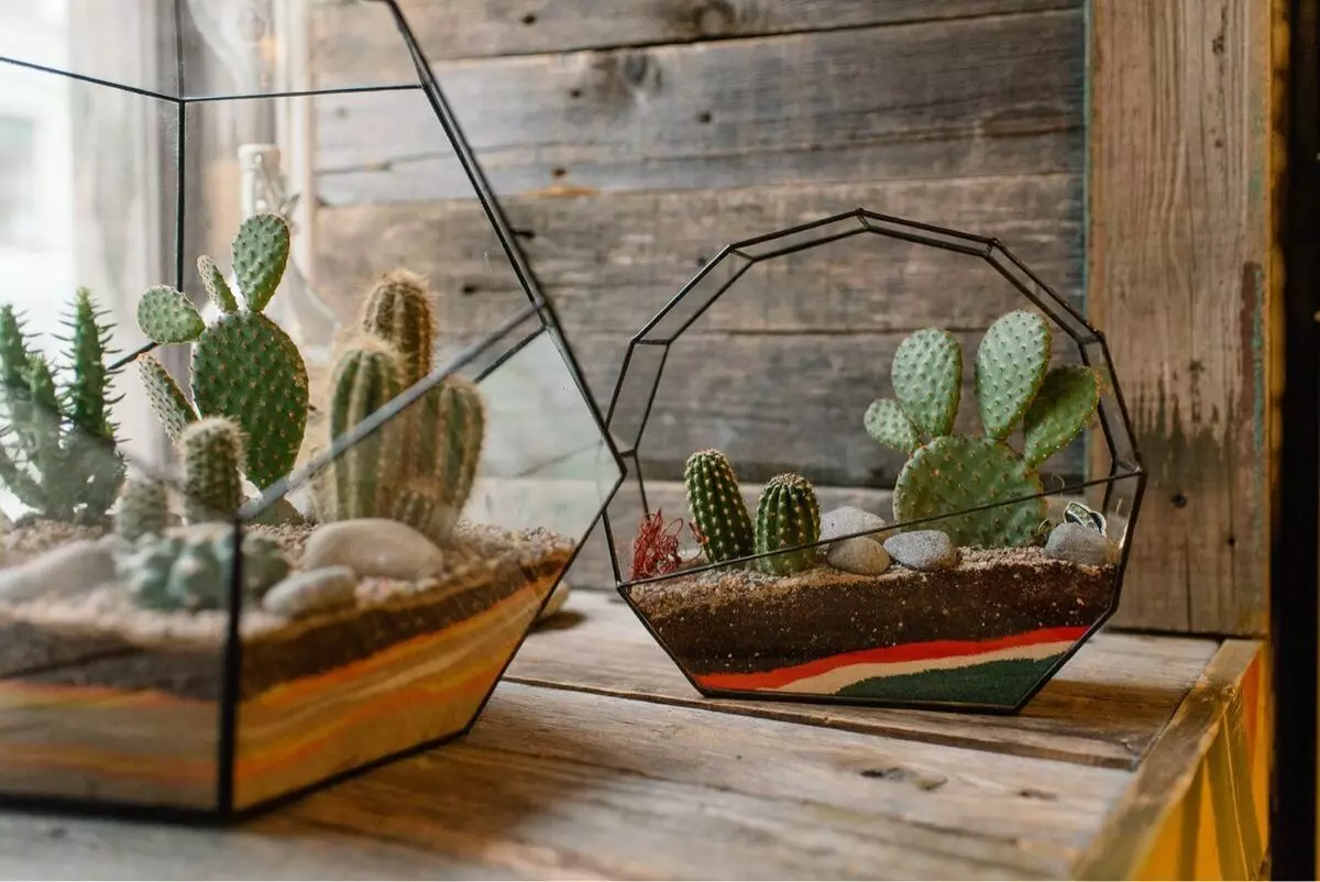 Hogyan kell használni a kaktuszokat és a zamatosok a belsőépítészet 2019-ben?
