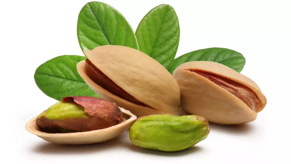 Pistachii.