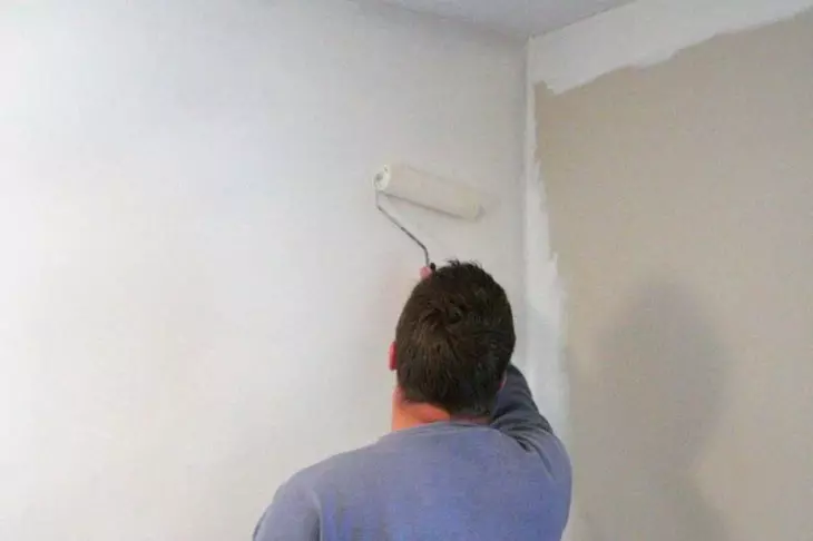 Primer für Wände unter Malen mit den eigenen Händen, den Vorteilen des Materials