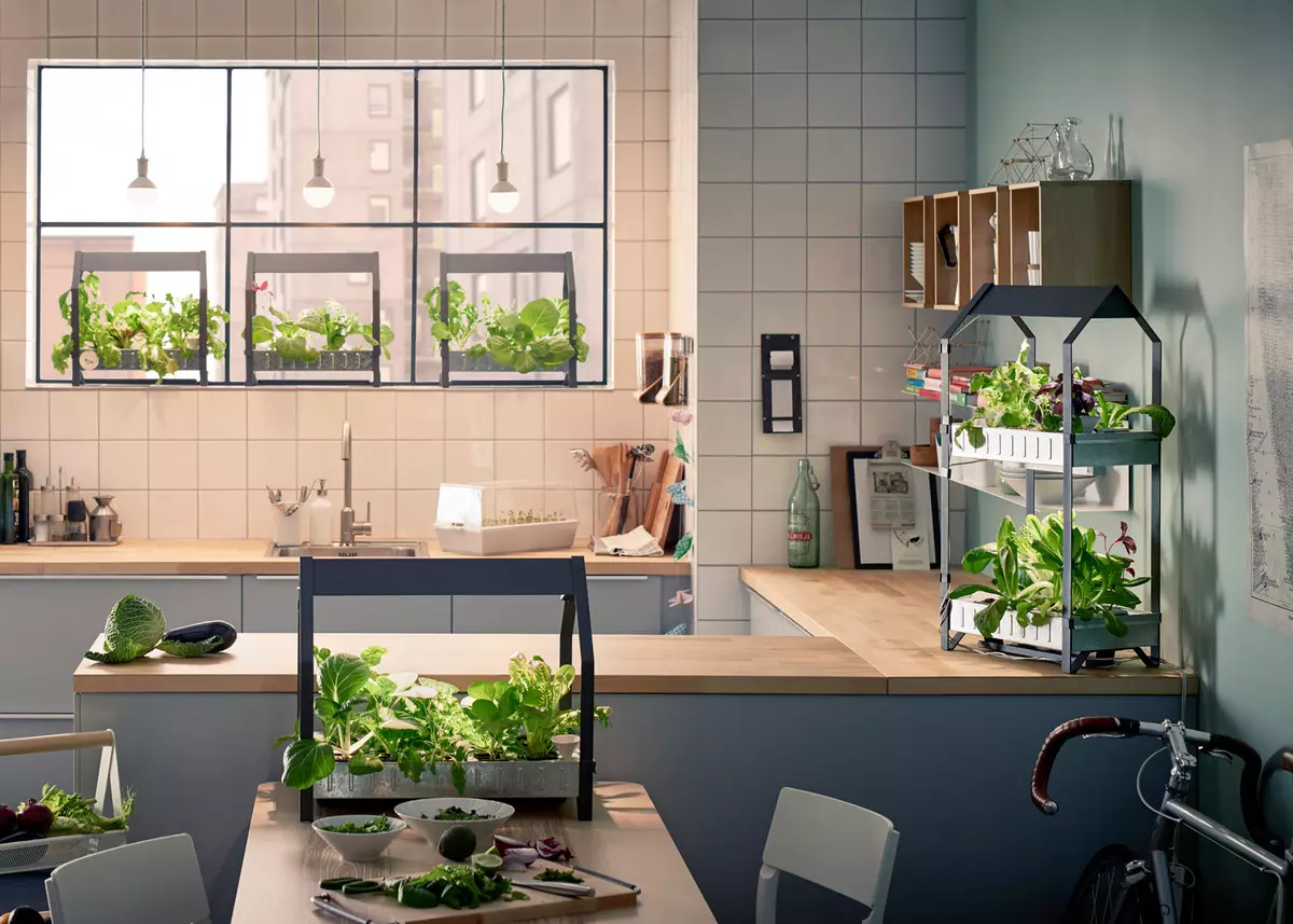 Лятна декорация: Как да украсим кухнята със собствените си ръце?