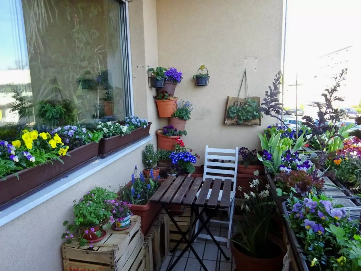 Квіти на маленькому балконі
