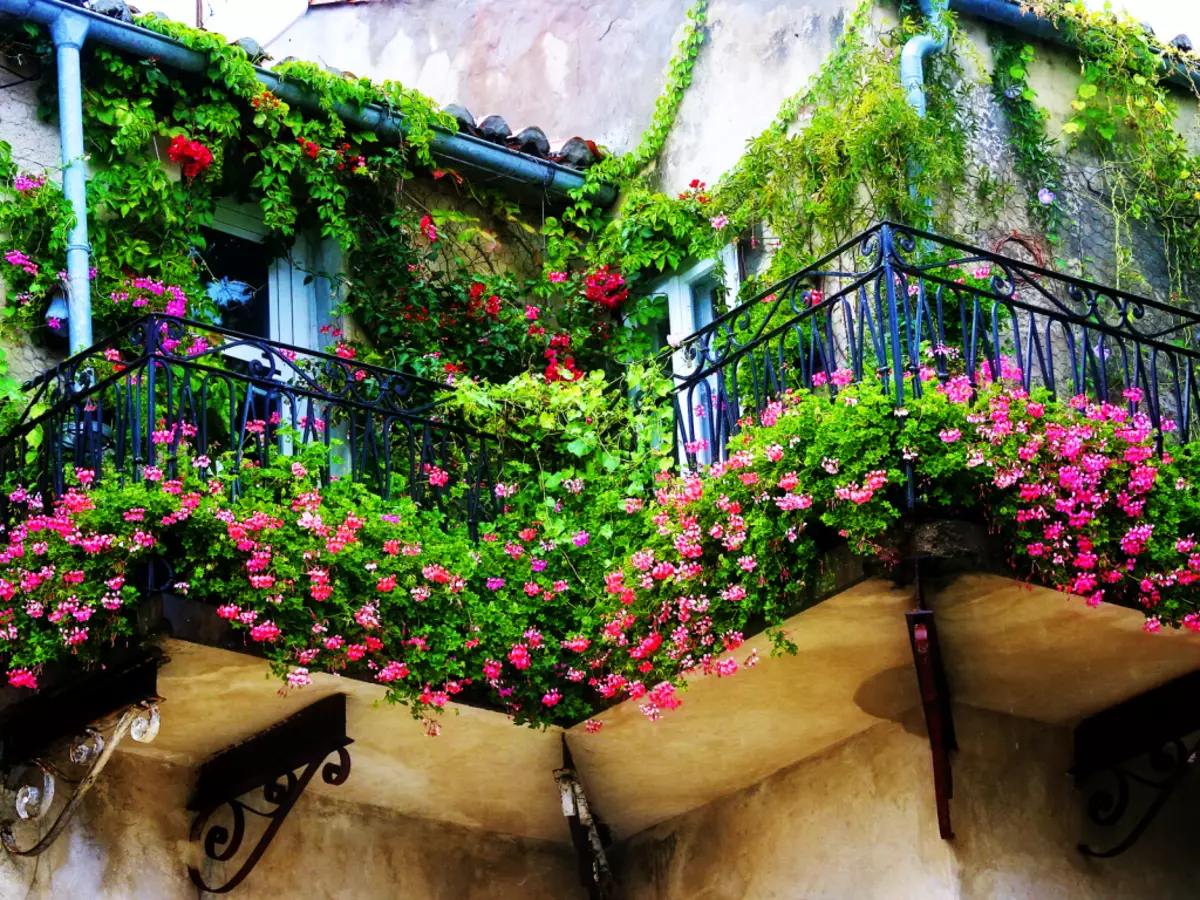 Balcone con colori lussuosi