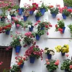 Come decorare un balcone con le tue mani (60 foto)