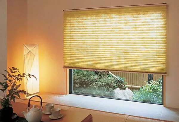 Pliza Blinds: Features, Faida na aina ya miundo