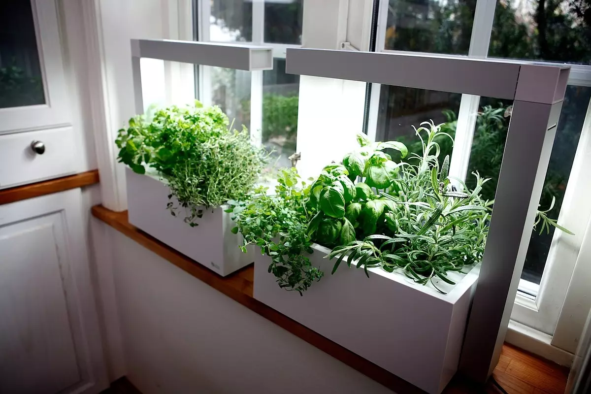 Ua vaj rau ntawm windowsill - yuav ua li cas ua ib tug hobby stylish?