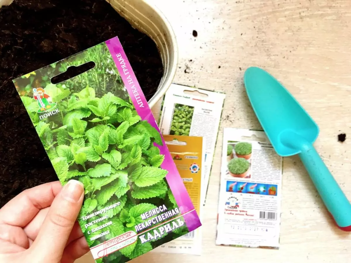 Zelfgemaakte tuin op de vensterbank - Hoe een hobby stijlvol te maken?