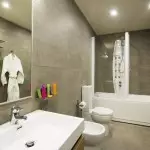 Kako stvoriti dobar dizajn kupaonice u kombinaciji s WC-om (+50 fotografija)