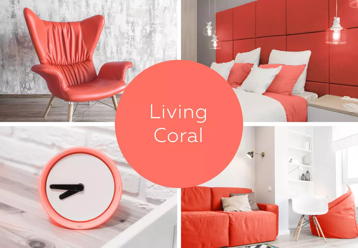 Color del año 2019 - Coral en vivo [Opciones de uso interior]