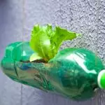 Eman dekorazioa: Nola erabili plastikozko botilak ahalik eta eraginkorrenak eta interesgarriak?