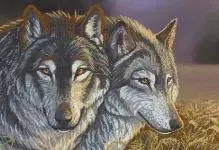 交叉刺繡狼：夫婦方案，凱瑟琳計劃Wolver，版權和自由，快樂的白色