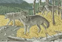 Cross ricamo lupi: schemi di coppia, schemi di catherine wolver, copyright e gratis, felice bianco