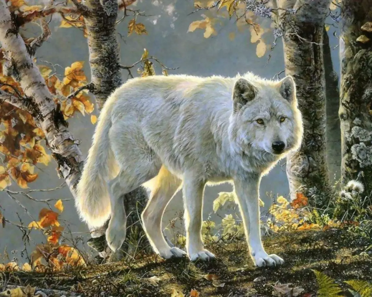Kreuzstickerei Wölfe: Paarschemata, Catherine-Schemata Wolver, Urheberrecht und frei, glücklich weiß