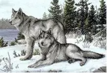 Cross ricamo lupi: schemi di coppia, schemi di catherine wolver, copyright e gratis, felice bianco