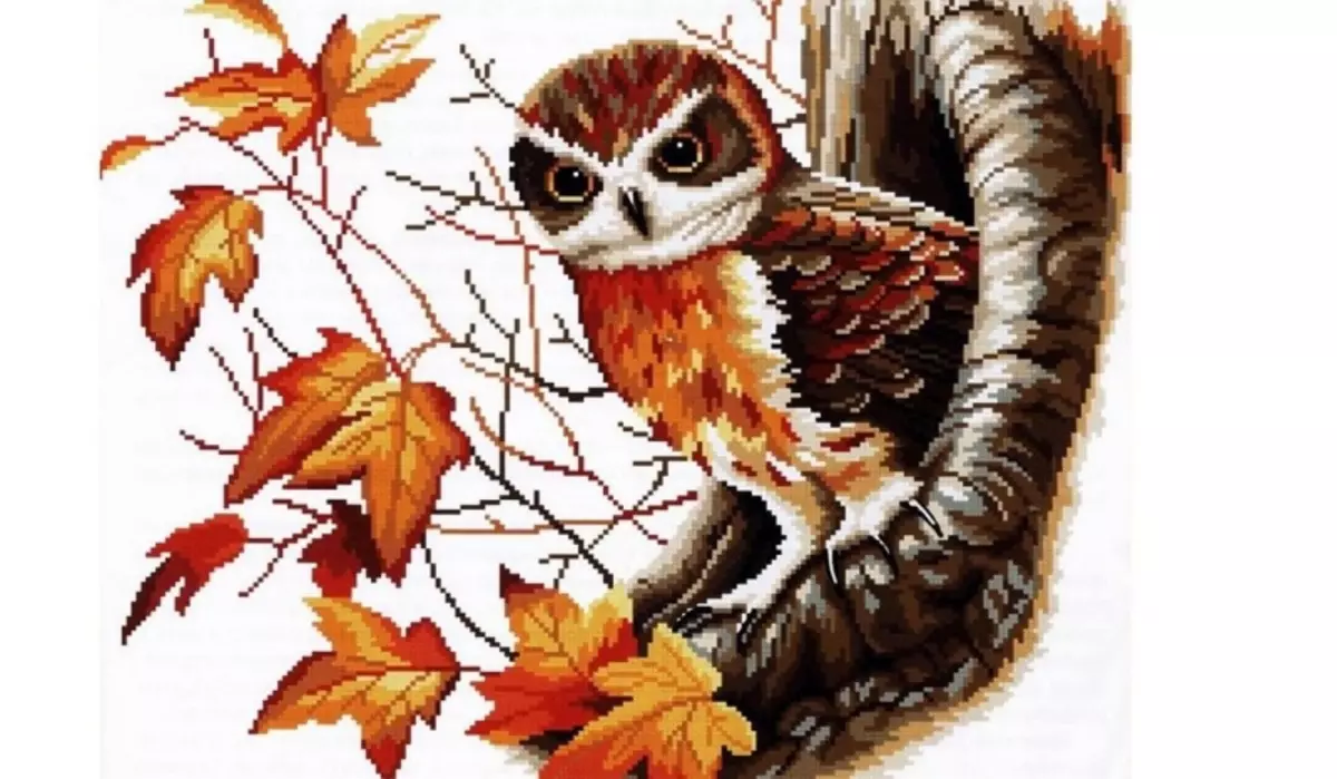 Changes Embroidery Cross Owl: free download, white on a branch how to draw drawings