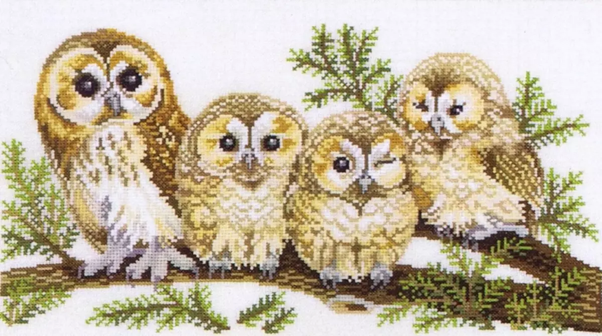 Changes Embroidery Cross Owl: free download, white on a branch how to draw drawings