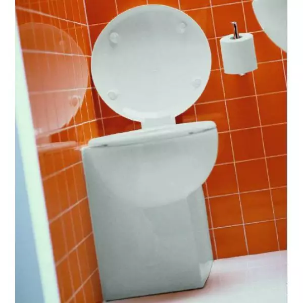 Hoekige bach toilet