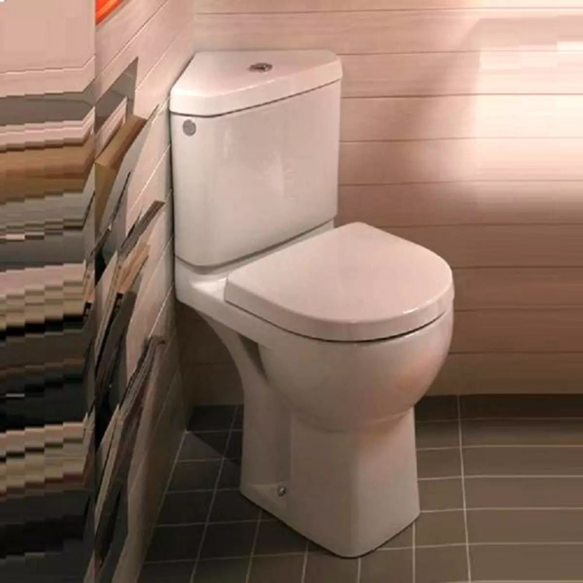 Vinkelbach toalett