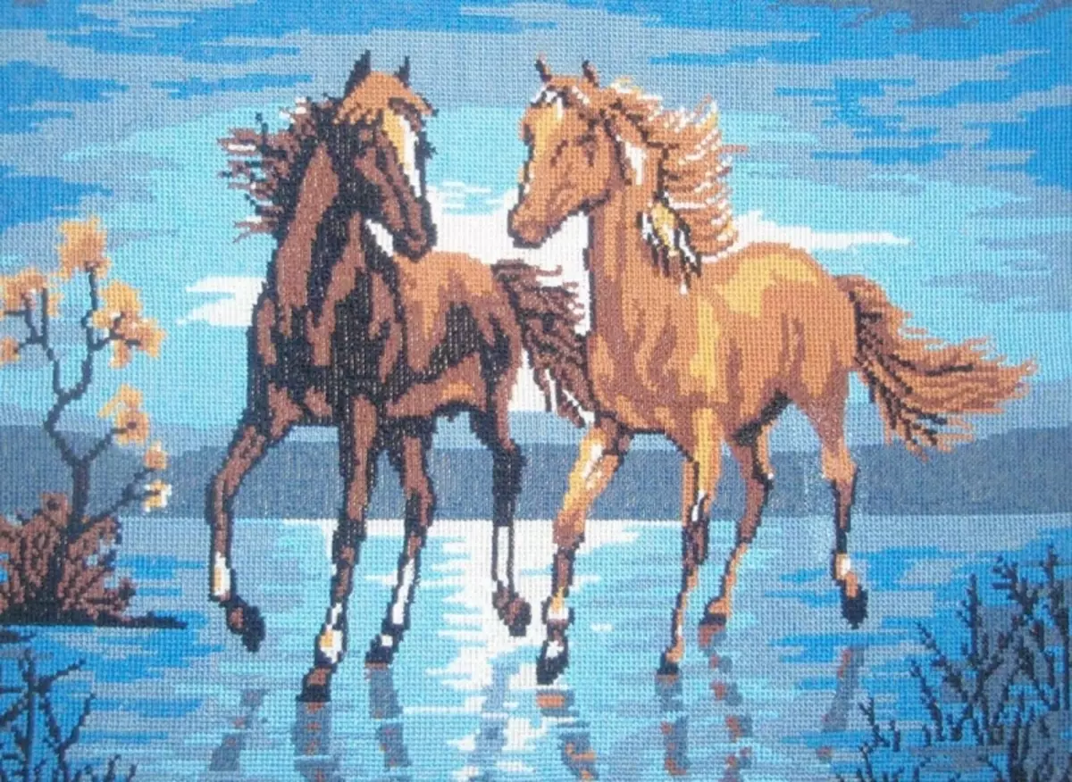 Cross-Cross Start Stitch: ໂຄງການແລະຊຸດ, ຟຣີ, pony ແລ່ນສຸດນ້ໍາ, Riolis ສໍາລັບເດັກຍິງ